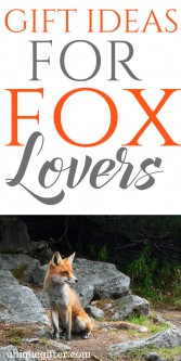 Gift Ideas for Fox Lovers