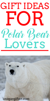 20 Gift Ideas for Polar Bear Lovers