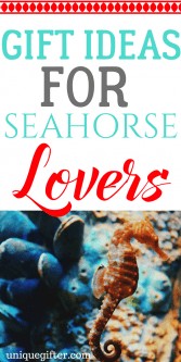 20 Gift Ideas for Seahorse Lovers