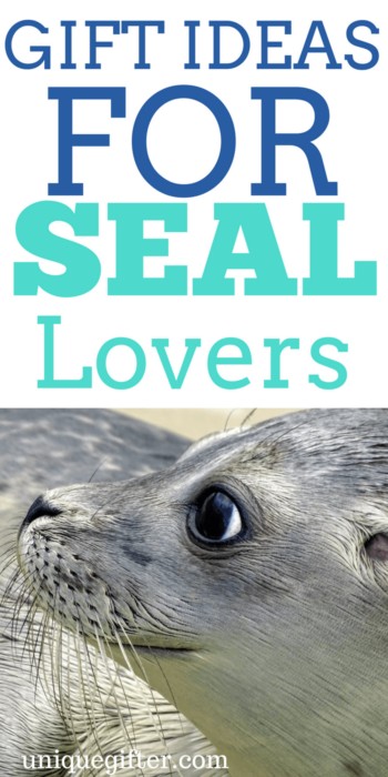 Gift Ideas for seal Lovers | Birthday presents for people who like seals | Creative Christmas presents | seal decor | Birthday gifts for men and women | Animal Lover presents | Anniversary gifts with seals | seal prints | seal cookie cutter | seal accessories