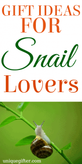 20 Gift Ideas for Snail Lovers