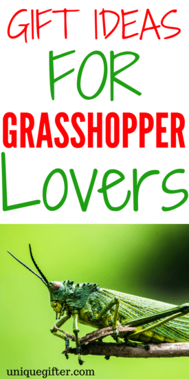 20 Gift Ideas Grasshopper Lovers