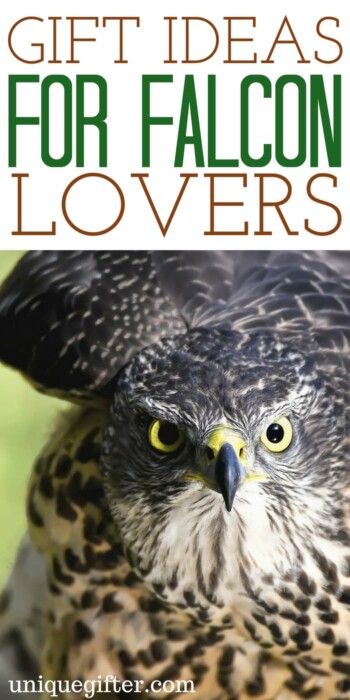 Gift Ideas for Falcon Lovers | Falcon Clothing | Falcon Jewelry | Falcon Gifts for Teachers | Falcon Gifts for Kids | Falcon Gift Baskets | Falcon Christmas Presents | Falcon Mother's Day | Falcon Father's Day | Fun Falcon Gifts | Awesome Gifts for Falcon Lovers | Falcon Books | Falcon Prints | What to Buy for People Who Love Falcon | The Best Falcon Gifts | Gift Ideas | Gifts | Presents | Birthday | Christmas