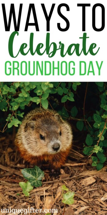 Creative ways to celebrate groundhog day | End of winter activities | Fun kid's activities for groundhog day | books about the weather and groundhog day | Punxsutawney Phil | Groundhog sees his shadow | 6 more weeks of winter