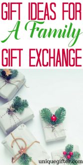 The best gift ideas for a family gift exchange | Gifts for the whole family | Christmas gift ideas where you draw names | Gifts for when you exchange names | Creative ways to spend less at Christmas | Budget friendly Christmas tips | Cheap gift tips for Christmastime