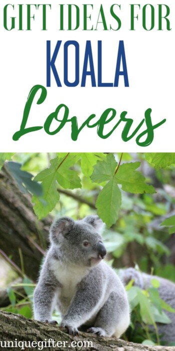 20 Gift Ideas for Koala Lovers