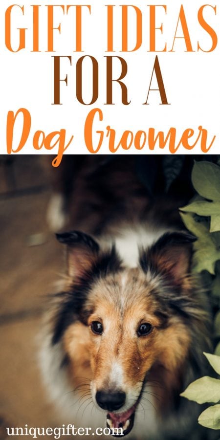 20 Gift Ideas for Dog Groomers - Unique Gifter