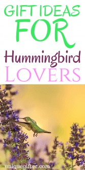 Gift Ideas for Hummingbird Lovers