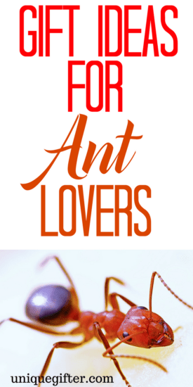 Gift Ideas for Ant Lovers | Gift Ideas for Ant Collectors | Ant Lovers Gifts | Gifts for Ant Collectors | The Best Ant Lovers Gifts | Cool Ant Gifts | Ant Gifts for Birthday | Ant Gifts for Christmas | Ant Jewelry | Ant Artwork | Ant Clothing | Things to Buy an Ant Lover | Gift Ideas | Gifts | Presents | Birthday | Christmas | Ant Gifts