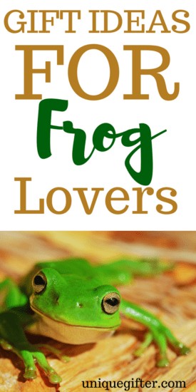 550 Frog Stuff ideas  frog, frog art, cute frogs