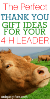 Thank You Gift Ideas for Your 4-H Leader | Presents for 4H leaders | How to thank a 4-H leader | Head, Hands, Heart and Health | Rural Living gifts | Young farmer gifts