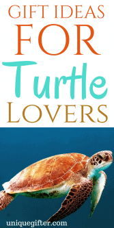 Gift Ideas for Turtle Lovers