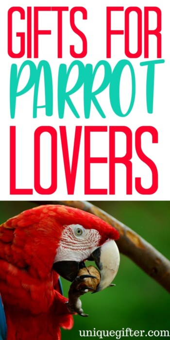 Gift Ideas for Parrot Lovers | Gift Ideas for Parrot Collectors | Parrot Lovers Gifts | Presents for Parrot Collectors | The Best Parrot Lovers Gifts | Cool Parrot Gifts | Parrot Gifts for Birthdays | Parrot Gifts for Christmas | Parrot Jewelry | Parrot Artwork | Parrot Clothing | Things to Buy a Parrot Lover | Gift Ideas | Gifts | Presents | Birthday | Christmas #parrot #animallover #gifts #birds