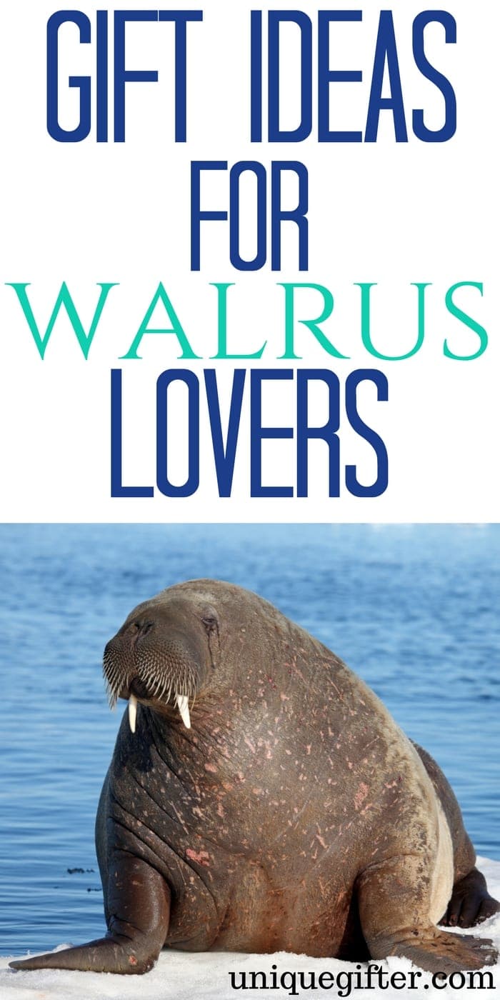 Gift Ideas for Walrus Lovers | Gift Ideas for Walrus Collectors | Walrus Lovers Gifts | Presents for Walrus Collectors | The Best Baboon Walrus Gifts | Cool Walrus Gifts | Walrus Gifts for Birthday | Walrus Gifts for Christmas | Walrus Jewelry | Walrus Artwork | Walrus Clothing | Things to Buy a Walrus Lover | Gift Ideas | Gifts | Presents | Birthday | Christmas #walrus #animallover