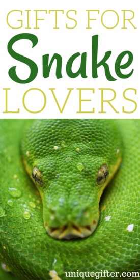 Gift Ideas for Snake Lovers | Gift Ideas for Snake Collectors | Snake Lovers Gifts | Gifts for Snake Collectors | The Best Snake Lovers Gifts | Cool Snake Gifts | Snake Gifts for Birthday | Snake Gifts for Christmas | Snake Jewelry | Snake Artwork | Snake Clothing | Things to Buy an Snake Lover | Gift Ideas | Gifts | Presents | Birthday | Christmas | Snake Gifts