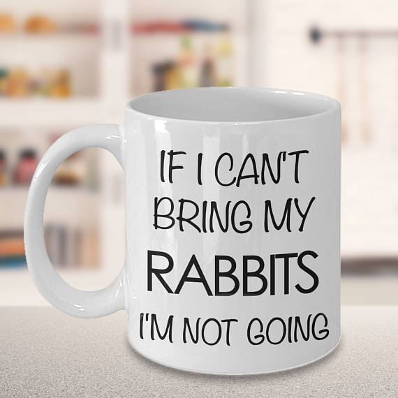 Gift Ideas for Rabbit Lovers Unique Gifter