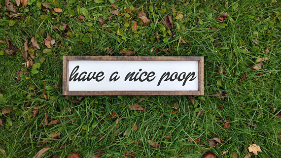 We all need a reminder so this toilet and poo themed gifts is a fun one for the bathroom.