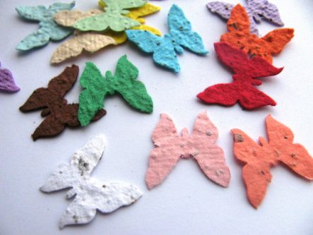 paper cut outs of butterflies with seeds in them. 