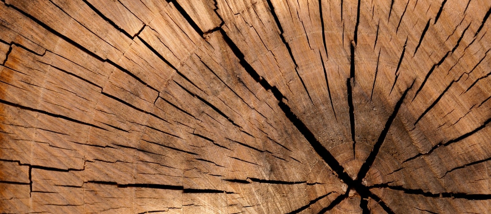 N wood. Фон доски. Холз. Коричневый фон без ничего. Background image pattern leaves