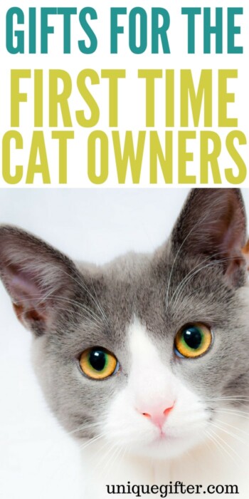 Gifts for the first time cat owner | Cat lady gift ideas | What to buy for my new cat | Creative presents for a friend who just bought a cat | Rescue cat gifts | new pet homecoming gifts | First time cat foster gift ideas | #catlady #cats #animallover