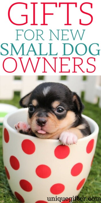 Gifts for new small dog owners | What to get a friend who just got a puppy | Small dog love | Creative gifts for a new dog parent | Pet parent gifts | Fun things to buy a friend who is fostering a dog | Foster pet gift ideas | #dog #petparent #newpuppy