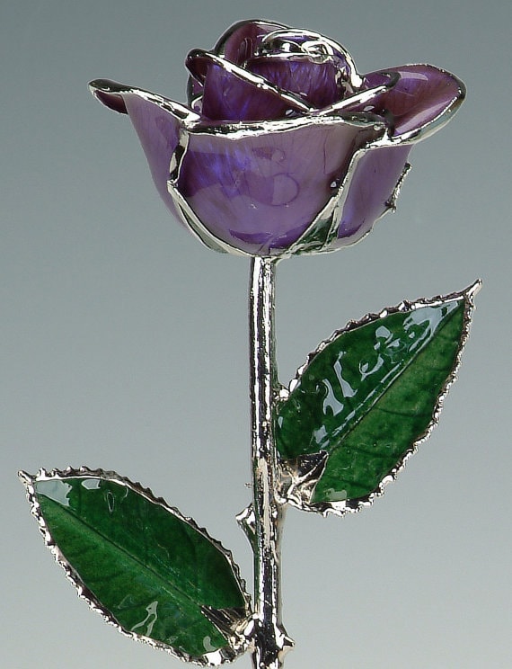 This 20th Platinum Modern Anniversary Gifts for Her is for a rose so sweet. 