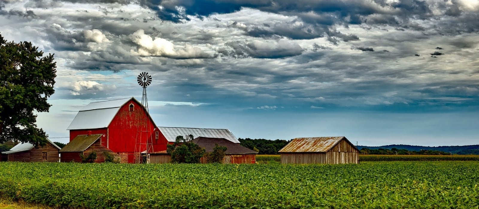 20 Amazing Gift Ideas For Farmers In Your Life Unique Gifter — free download
