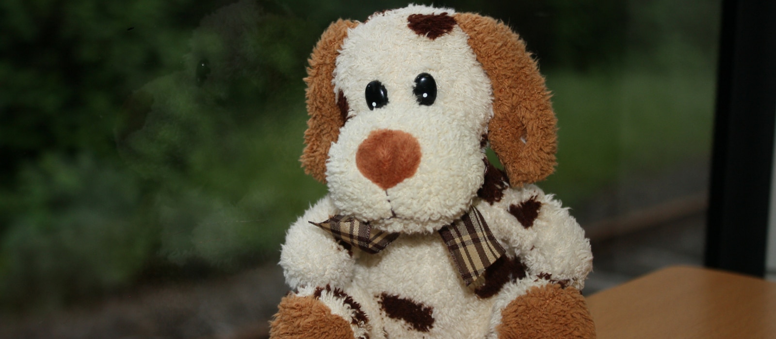 Toys That Begin With the Letter D Grouped by Age Unique Gifter