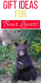 Gifts for bear lovers | Best bear lovers Gift Ideas | Entertaining Gifts for bear lovers | bear lover Gifts | Presents for Someone Who likes bears | Creative Bear Loving Gift ideas | Presents to Buy For A Fan of Bears | #bear #gifts #animallover