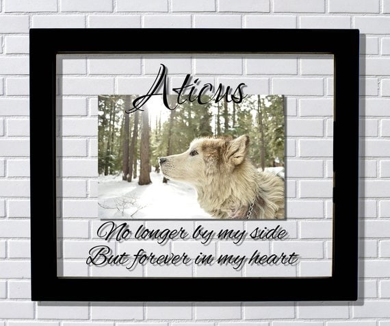 This Sympathy Gift Ideas for Loss of Dog is a thoughtful one. 