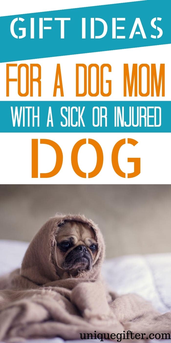 Gift Ideas For Dog Mom With Sick Or Injured Dog | Sick Dog | Injured Dog | Presents For Pet Owner | Unique Pet Owner Gifts | Gifts To Cheer Up Pet Owner With Sick Dog | #gifts #giftguide #dog #sickdog #presents
