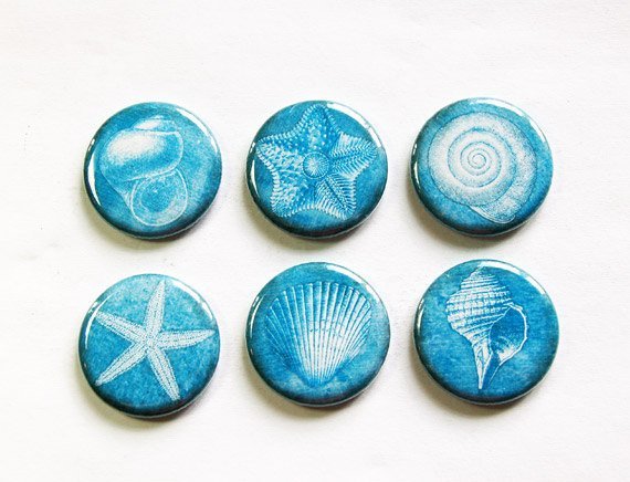 Six round blue marnegts with white seashells on them.
