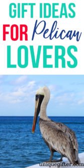 Gift Ideas For Pelican Lovers | Pelican Gifts | Gifts For Pelican Lover | Present For Pelican Lover | Pelican Fan Gifts | Bird Gifts | Unique Bird Gifts | Creative Bird Gifts | Thoughtful Gifts For Pelican Lover | #gifts #giftguide #presents #pelican #birdgift