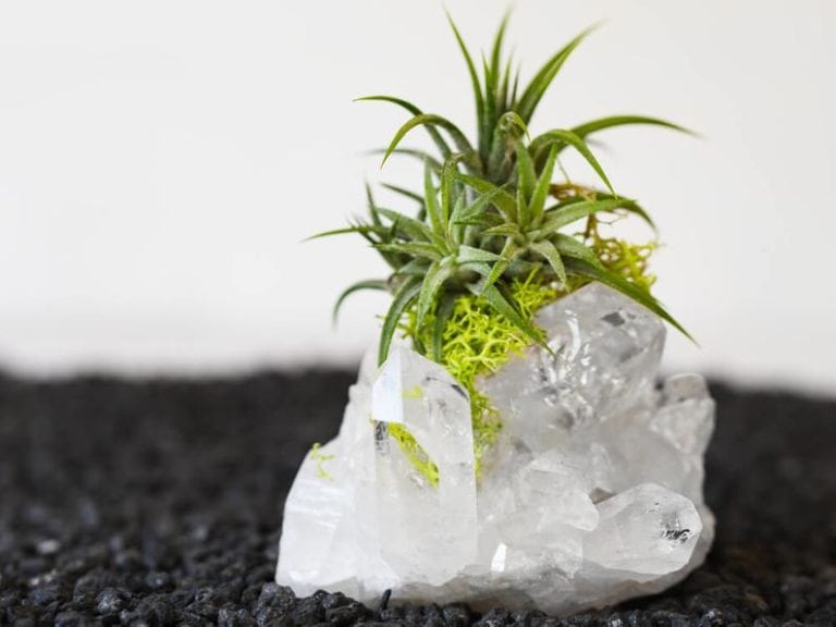 15th Crystal Anniversary Gifts for Him Unique Gifter