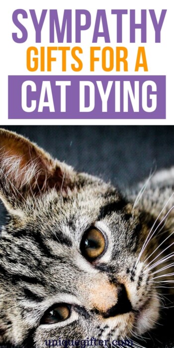 Sympathy Gifts for a Cat Dying | Dying Cat Gifts | Losing A Pet Gifts | Pet Bereavement Gifts | Loss of Pet Sympathy Gifts | #gifts #giftguide #presents #pet #cat #sympathy #uniquegifter