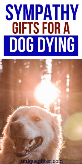 what do you say when someones dog dies