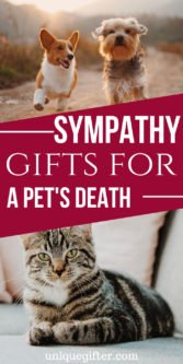 Sympathy Gifts for a Pet’s Death