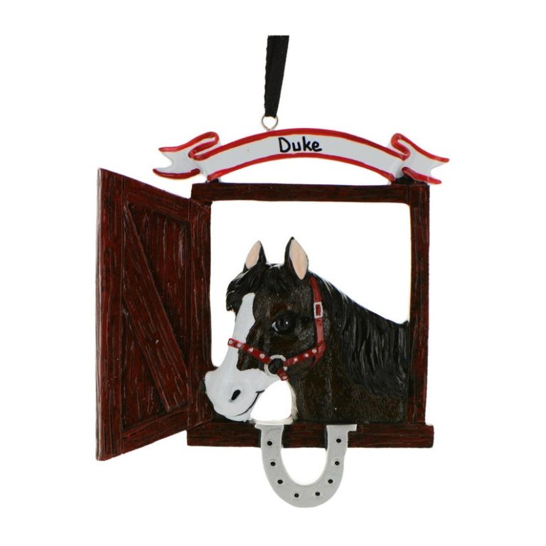 Horse Gifts for Girls Unique Gifter