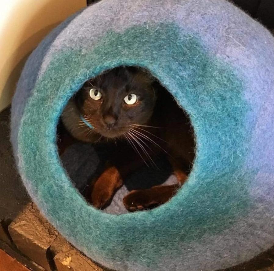 Gifts for the First Time Cat Owner - Teal colored cat cave with a black cat inside. 