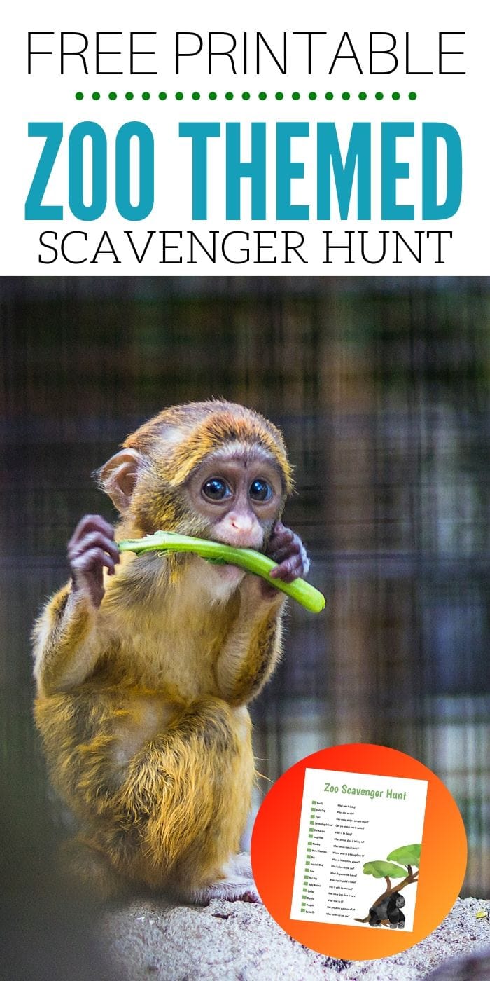 FREE Printable Zoo Scavenger Hunt | Free Scavenger Hunt | Zoo Scavenger Hunt | Easy Kids Scavenger Hunt | Animal Scavenger Hunt | Fun Scavenger Hunt | #scavengerhunt #easy #fun #activity #unique