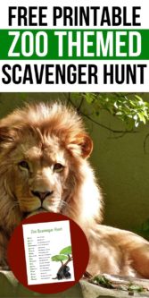 FREE Printable Zoo Scavenger Hunt | Free Scavenger Hunt | Zoo Scavenger Hunt | Easy Kids Scavenger Hunt | Animal Scavenger Hunt | Fun Scavenger Hunt | #scavengerhunt #easy #fun #activity #unique
