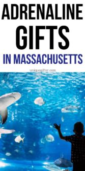 Adrenaline Junkie Experience Gifts in Massachusetts | Massachusetts Gifts | Massachusetts | Creative Experience Gifts | Unique Massachusetts Gifts | #gifts #giftguide #uniquegifter #massachusetts #experience