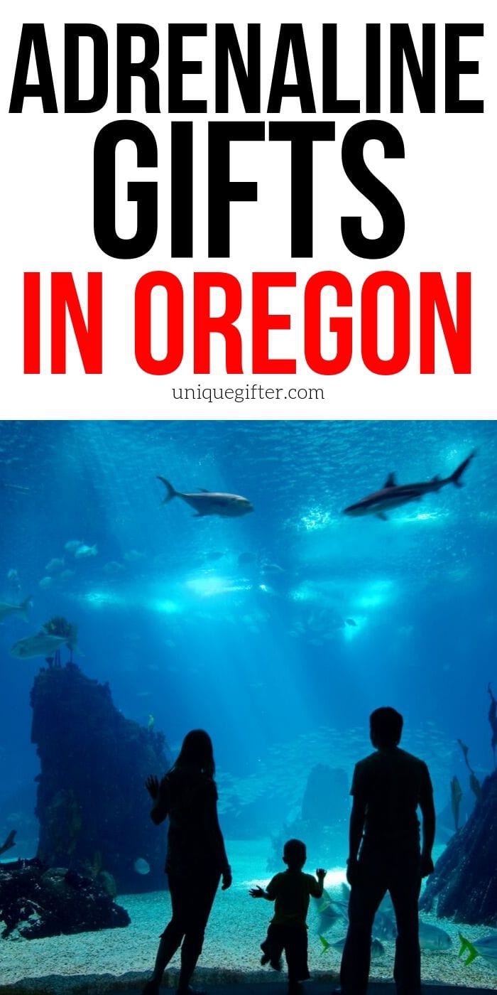 Adrenaline Junkie Experience Gifts in Oregon | Oregan Gifts | Creative Oregan Gifts | Easy Oregan Gifts | Oregan | Experience Gifts | Adventure Gifts | #gifts #giftguide #presents #oregan #uniquegifter #experience #adventure