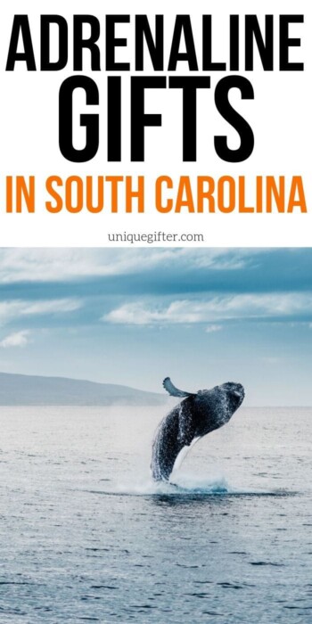 Adrenaline Junkie Experience Gifts in South Carolina | South Carolina Gifts | Gifts For People Who Love South Carolina | South Carolina Presents | Experience Gifts | Unique Gifts | Adrenaline Gifts | #gifts #giftguide #presents #uniquegifter #southcarolina #adventure #experience #creative