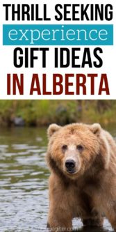 Adrenaline Junkie Experience Gifts in Alberta | Alberta Gifts | Unique Presents For Alberta | Experience Gifts In Alberta | #gifts #giftguide #alberta #unique #adventure #experience #uniquegifter