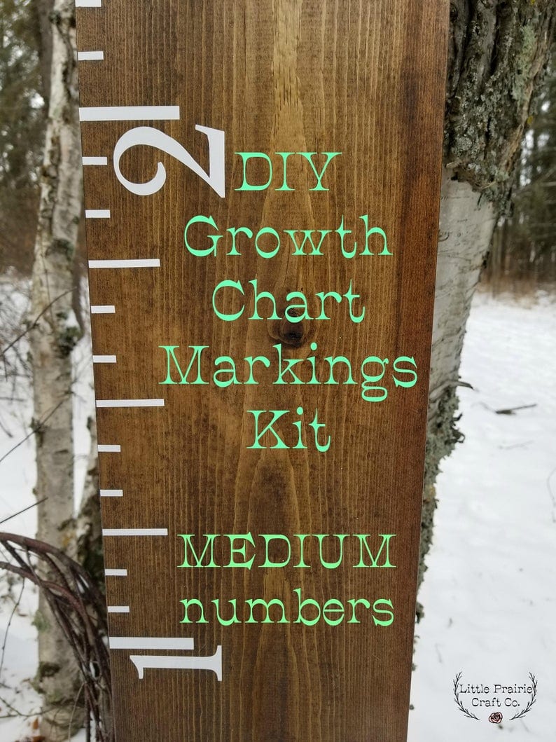 Quick & Easy Mother's Day Gift Ideas: wooden ruler style growth chart shown. 