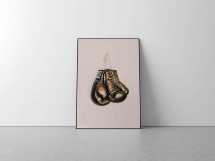 Boxing Gloves Poster