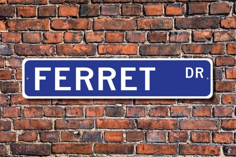 Ferret drive sign decor gift idea for Ferret lovers 