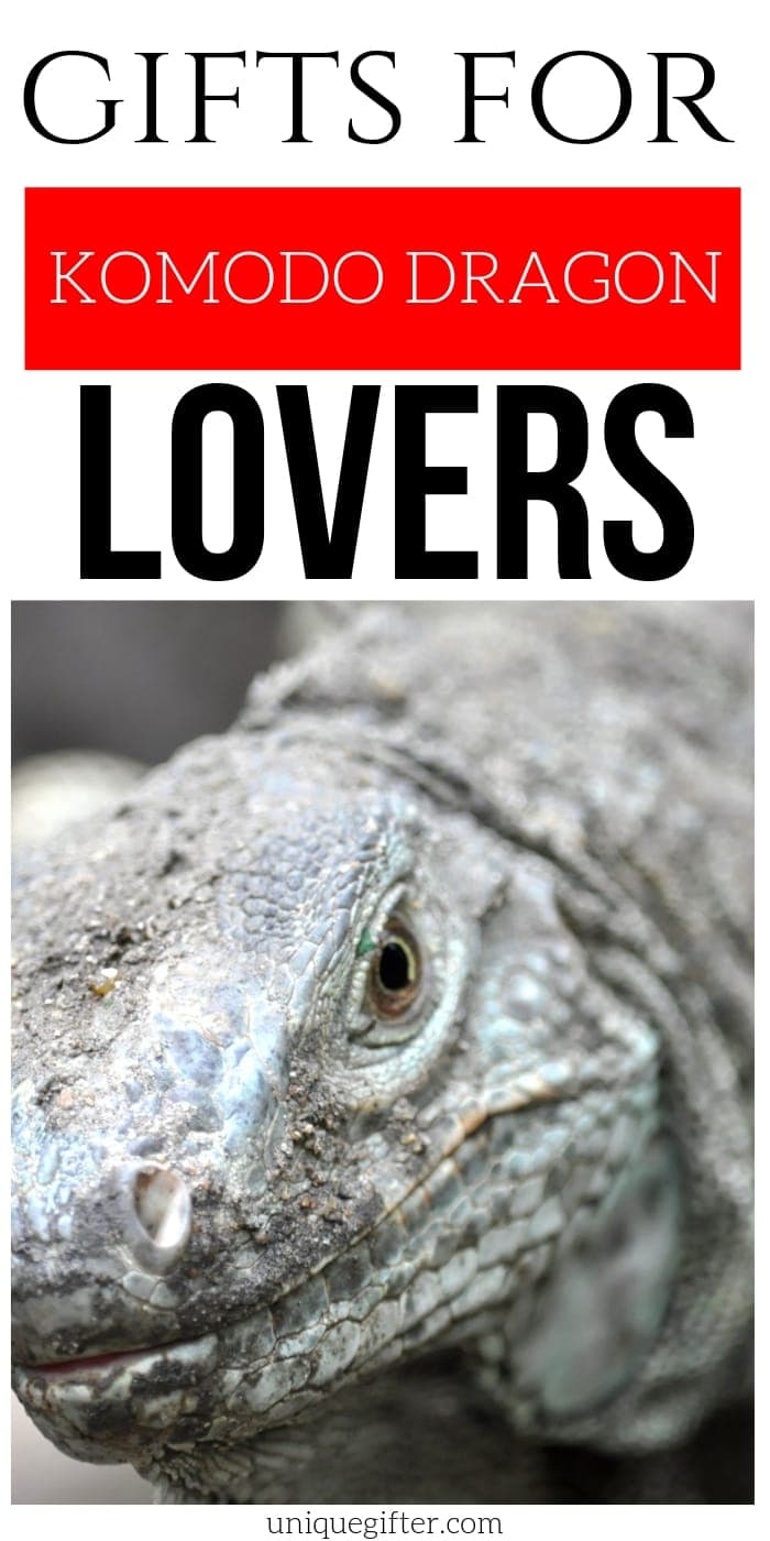 Best Gift Ideas for Komodo Dragon Lovers | Dragon Gifts | Presents For People Who Love Komodo Dragons | Interesting Komodo Dragon Gifts | #gifts #giftguide #presents #dragon #komodo #uniquegifts