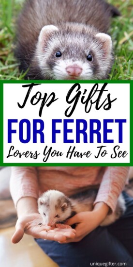 Ferret Lovers Gifts | Gifts for Ferret Owners | Ferret Pet Gifts | Gifts for Ferret Pet Owners | Animal Lover Gifts | Veterinarian Gifts | Gifts for your Animal loving Friend | Ferret Themed Gifts | #ferret #gift #pets #gifting #animals #funnygifts